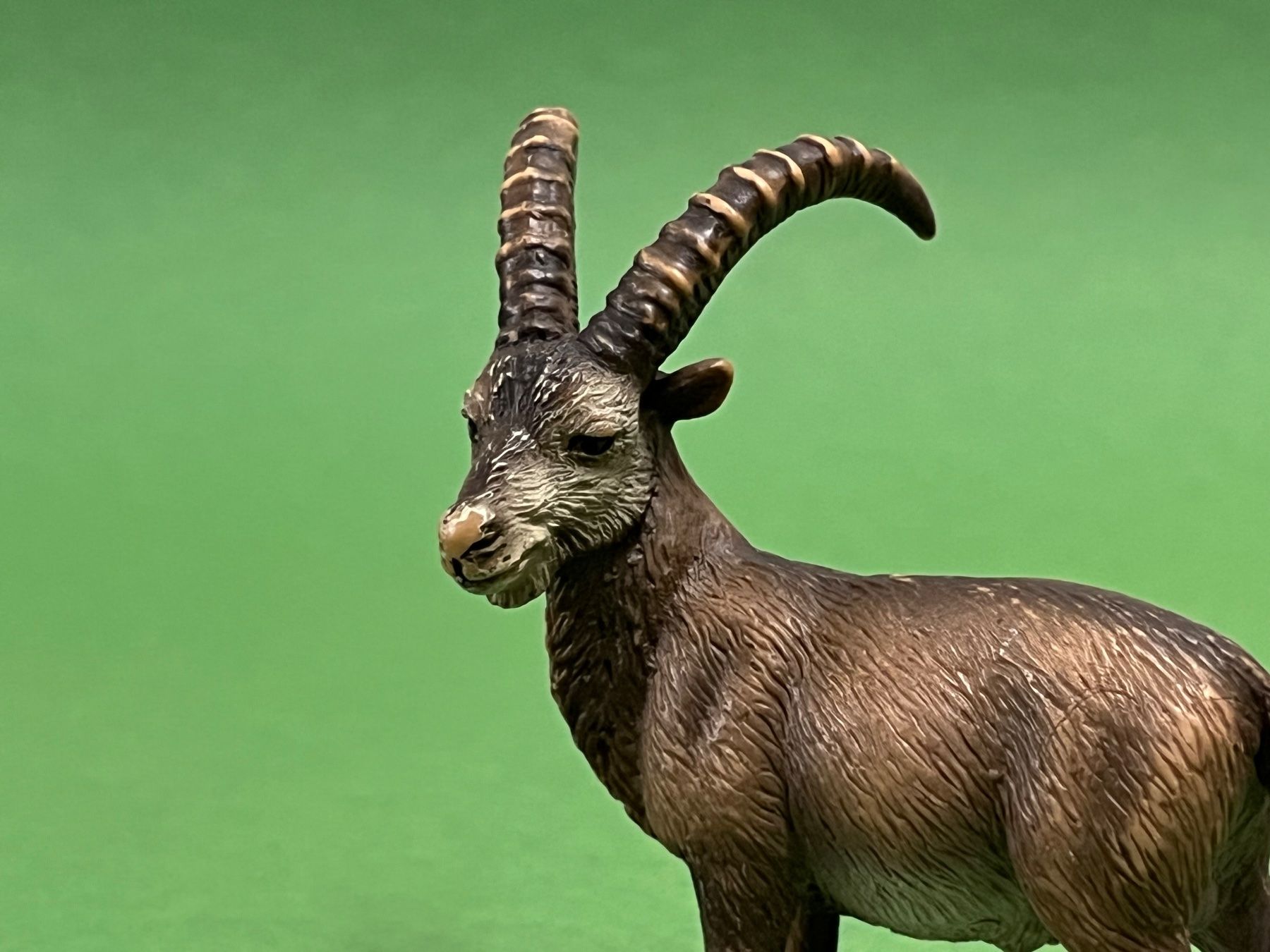 Schleich Statuette: Schleich 14366 Steinbock – Usato da Ennetbaden venduto da mapa05 1