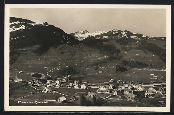 Cartoline postali: AK Nesslau, Ortspanorama mit Speermürli – Usato da Berlin venduto da bartko-reher