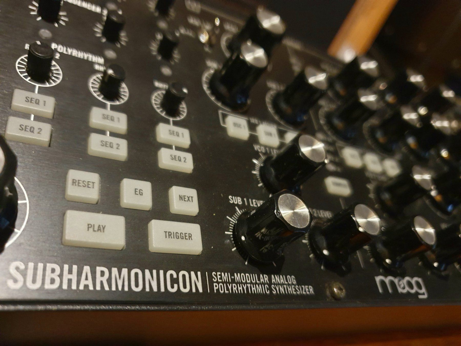 Moog Strumenti musicali: MOOG Subharmonicon - Polytonal Semi-Modular Synthesiser – Usato da La Ferrière venduto da Mutzy0 2