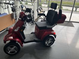 Scooter elettrico Swiss Edition 4000