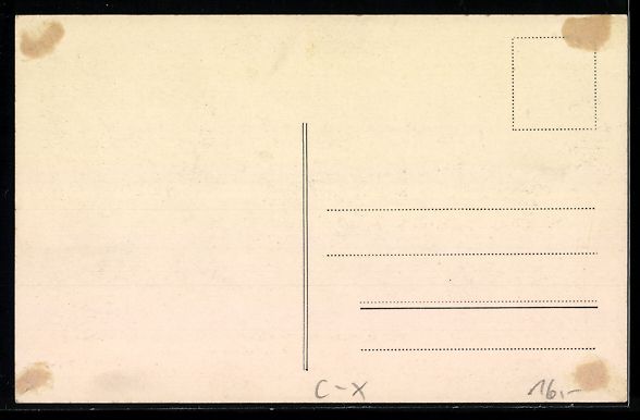 Ansichtskarten: Schaffhausen a. Rheinfall, Hotel Riesen, – Gebraucht aus Berlin von bartko-reher 1