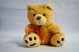 Bär Kuscheltier