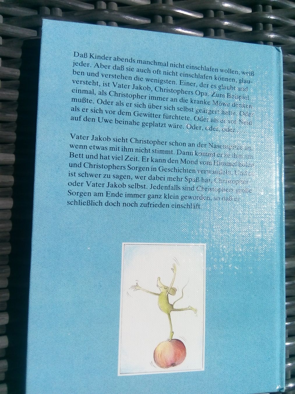 Libri: Vater Jakob oder der Mond in der Gulaschsuppe (Barbara Haupt – Usato da St.Galllen venduto da elkaphone 7
