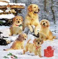 Serviette golden retriever puppies (1712) 2Stk.
