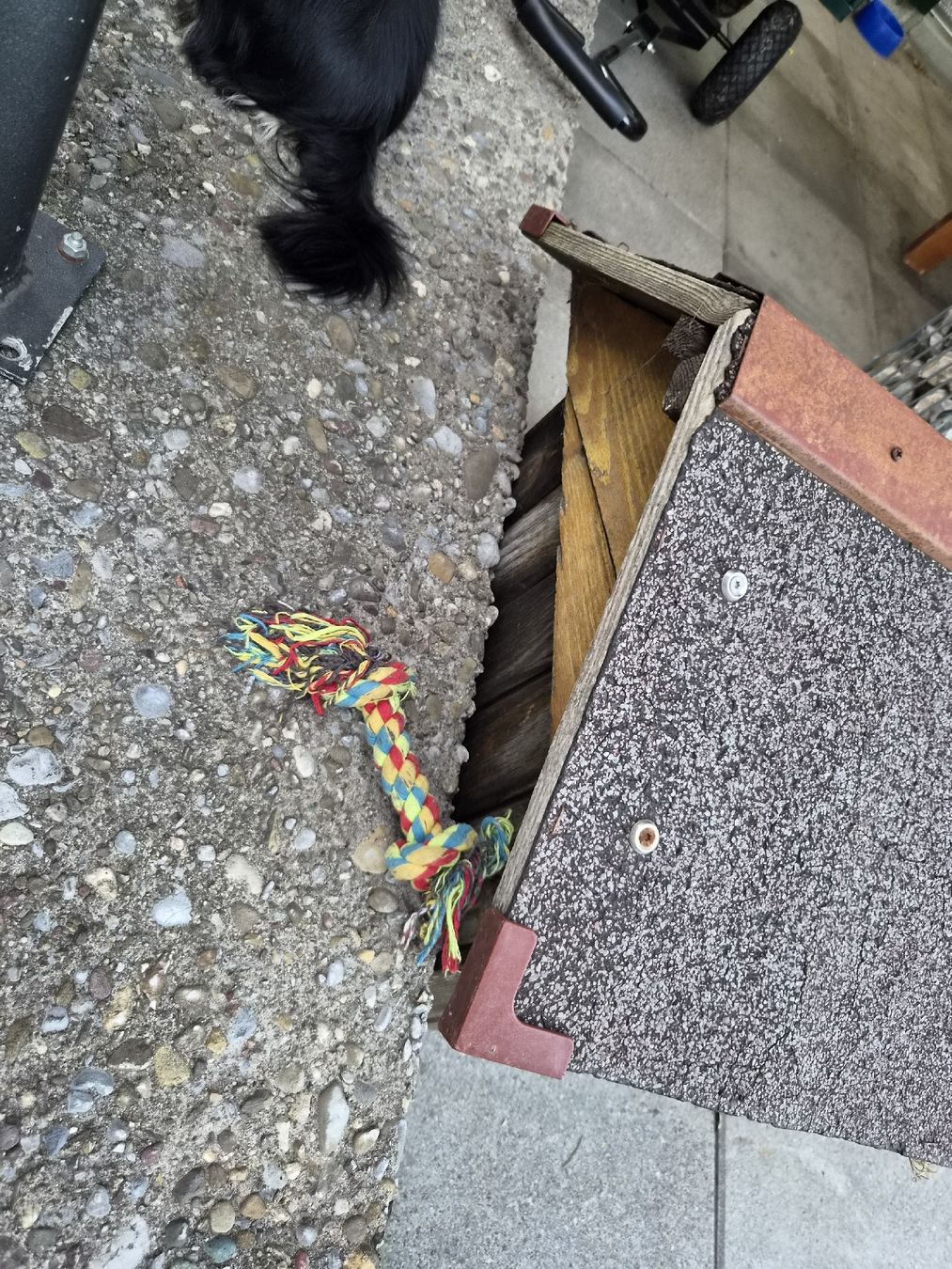 Liege- & Schlafplätze: Hundehütte  – Gebraucht aus weesen von haemmerliroman15 2