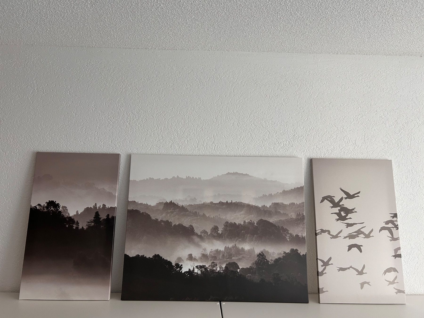 Foto & Immagini: Wandbild – Usato da Niederwil AG venduto da sgroot01