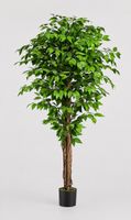 Kunstpflanze Ficusbaum 180cm, Künstliche Pflanzen,Kunstbaum