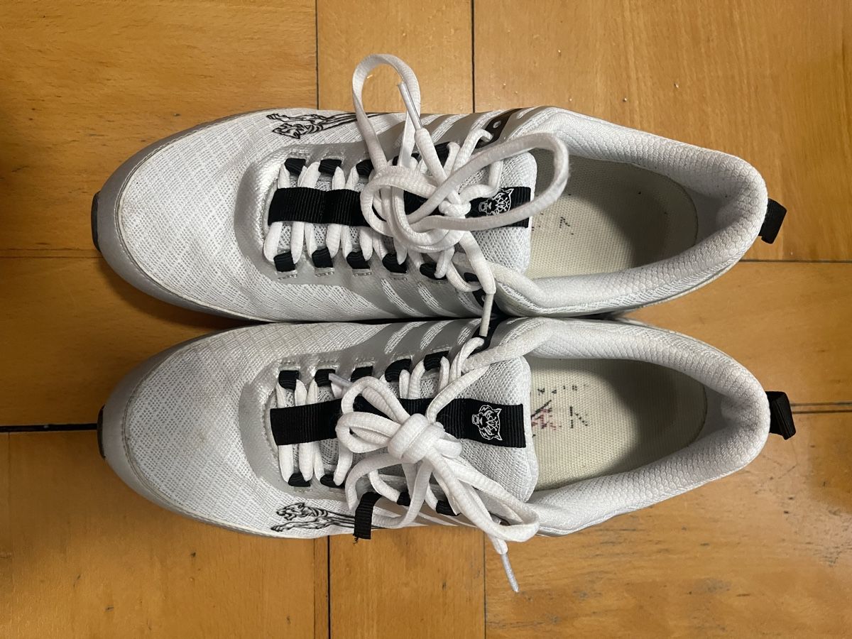 Philipp Plein Herrenschuhe: Philipp Plein Sport Schuhe weiss – Gebraucht aus Wil SG von WauWauBoutique 1