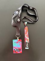 2Tages VIP-Pass Open Air St. Gallen