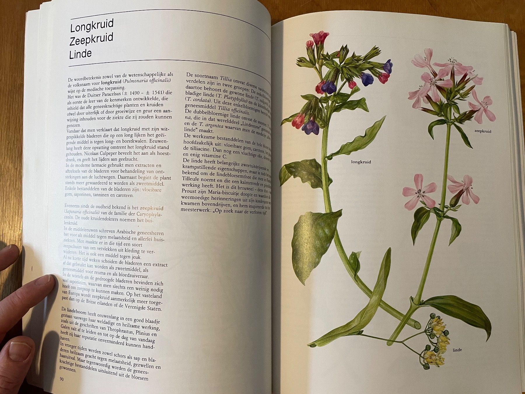 Bücher: De Plant in de Geneseekunde – Gebraucht aus Zürich von WWehrle 1