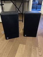 Vintage 3S Acoustics 2- Wege Boxen