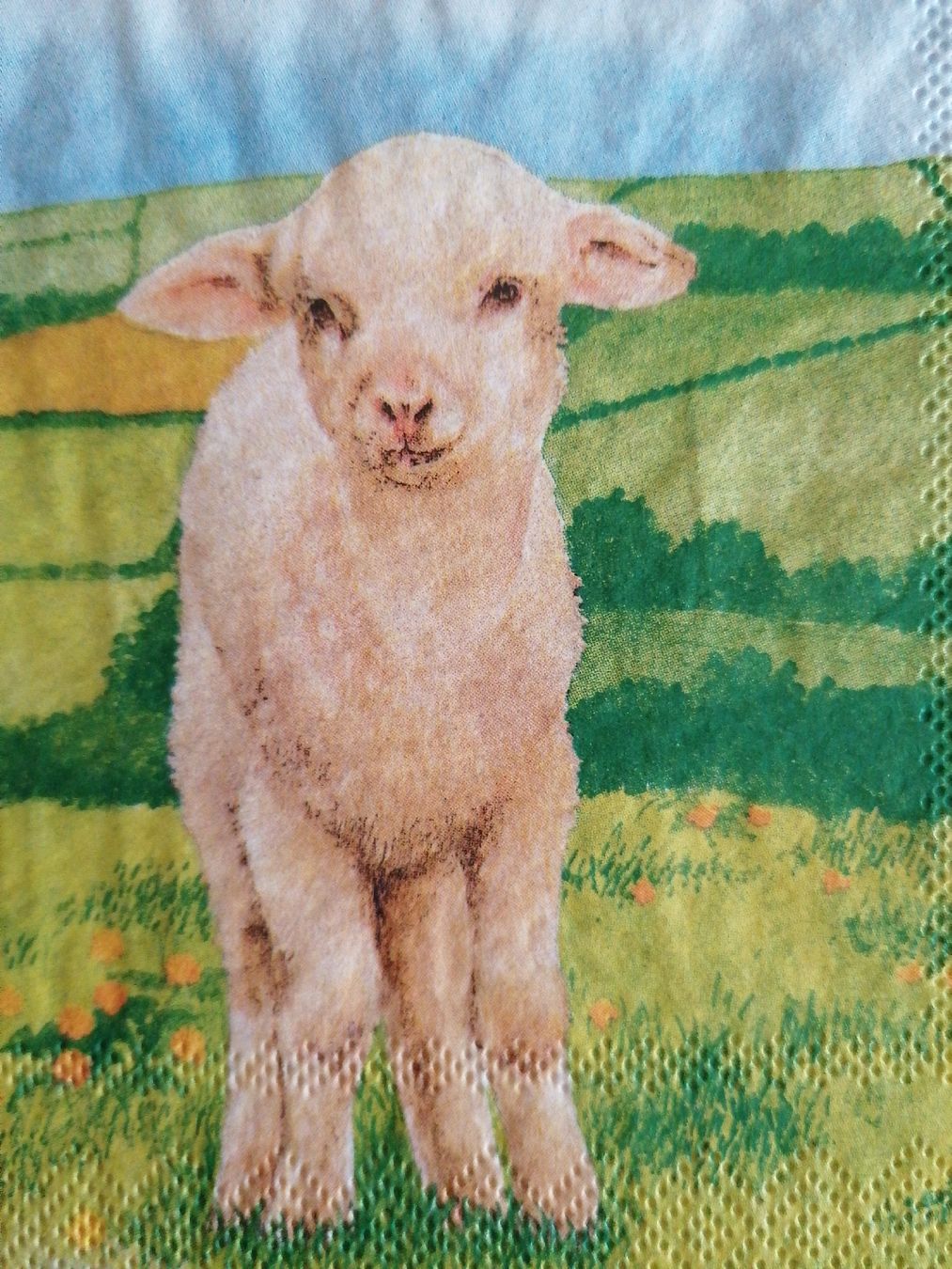Tovaglioli: 70 Bastel Servietten Ostern – Nuovo (secondo la descrizione) da Kaltbrunn venduto da Pitschifan 4