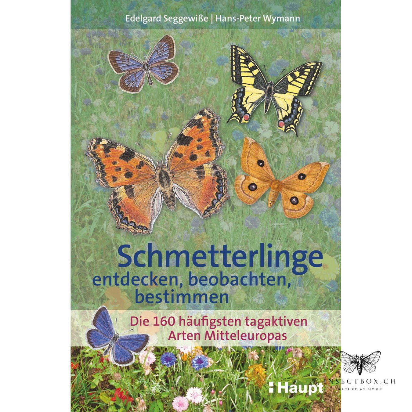 Libri: Schmetterlinge entdecken, beobachten, bestimmen – Nuovo e nell'imballaggio originale da Ostermundigen venduto da CarmineHome