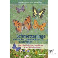 Schmetterlinge entdecken, beobachten, bestimmen