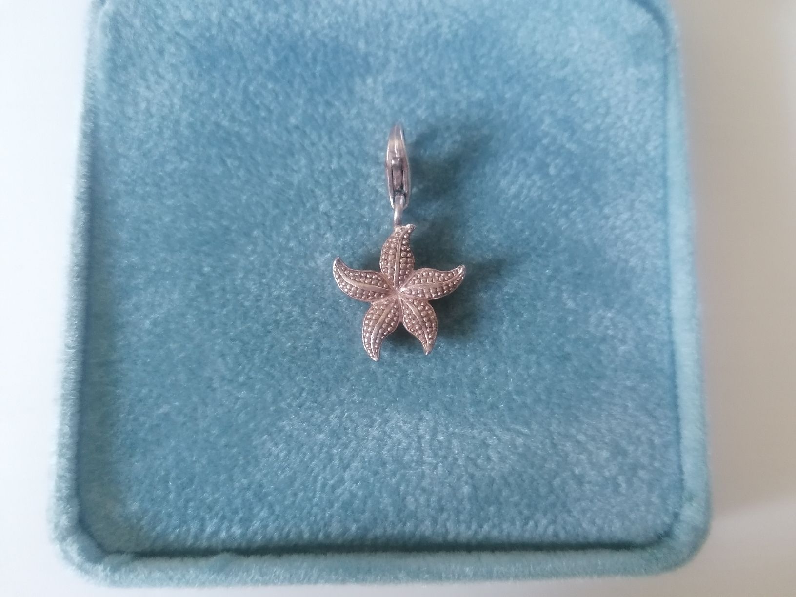 Thomas Sabo Ciondoli: Thomas Sabo Seestern Charm Anhänger Silber – Usato da Zürich venduto da Kassandra2 1