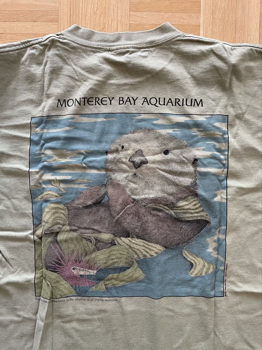 T-shirt: Vintage XL Tee good condition – Usato da Basel venduto da aharon.no1 3