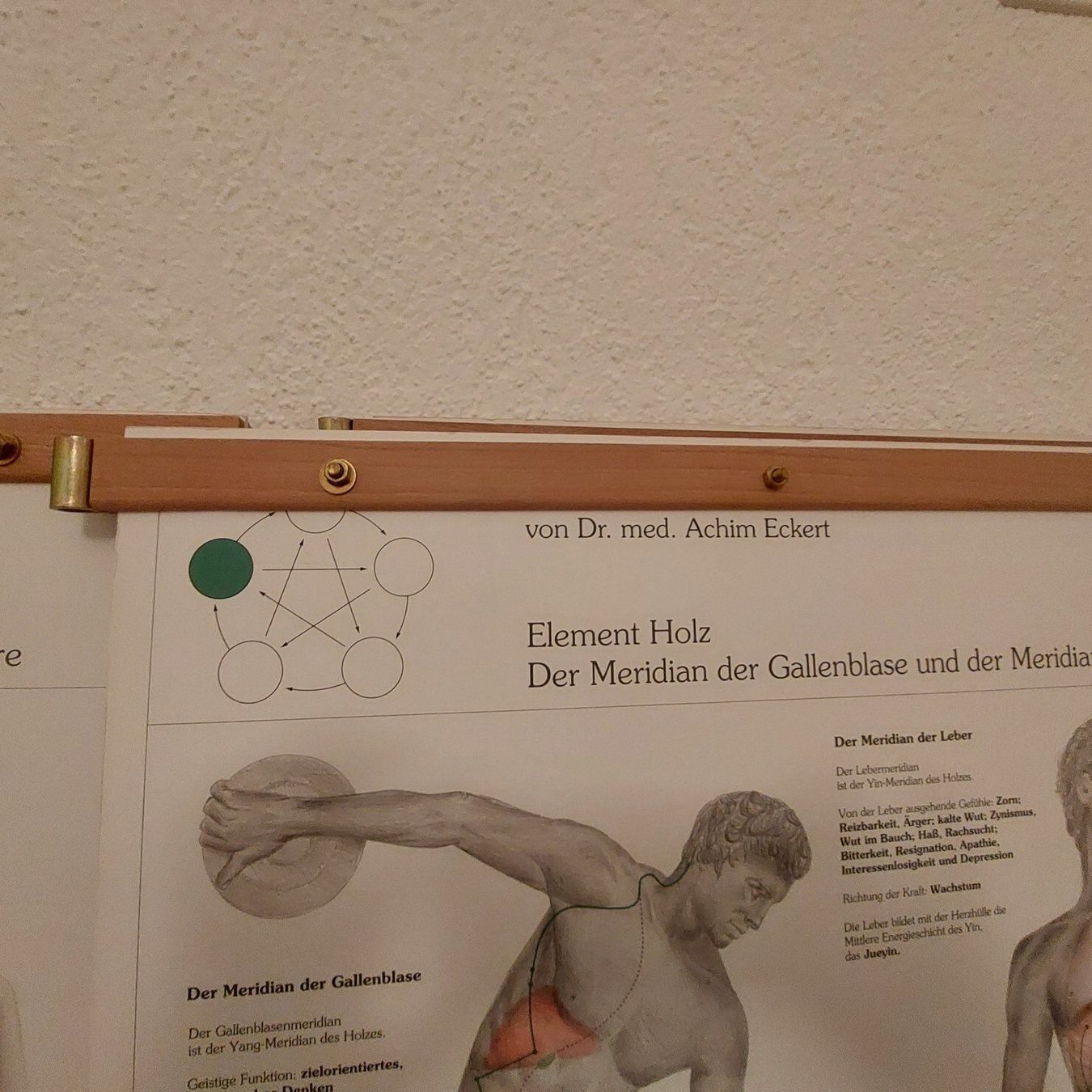 Foto & Immagini: 3 Meridiantafeln nach Dr. Eckert, 5 Elemente – Usato da Welschenrohr venduto da pava67 1