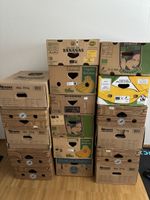 Umzugskartons /Bananenschachteln