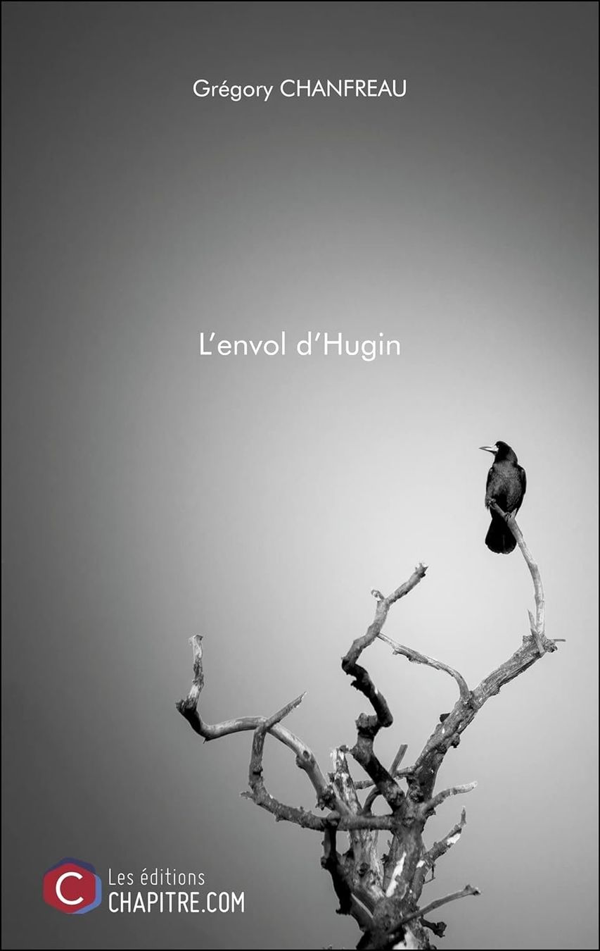 Libri: L'envol d'Hugin – Usato da Neuchâtel venduto da Dualseele