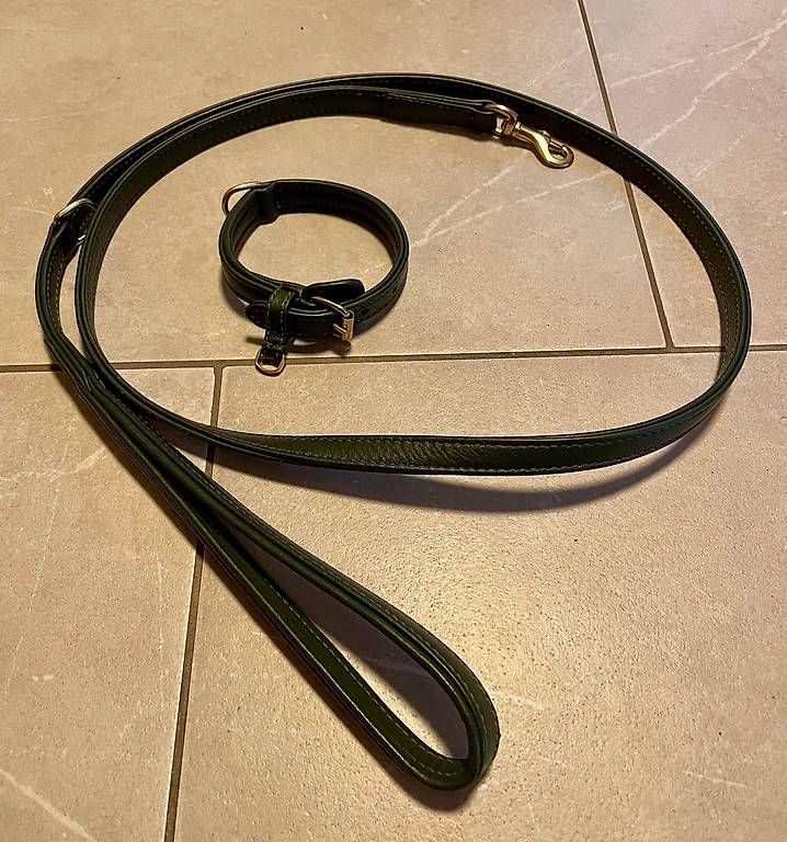 Leine & Halsband: Halsband & Leine, william walker – Gebraucht aus Gossau ZH von Loscher 1