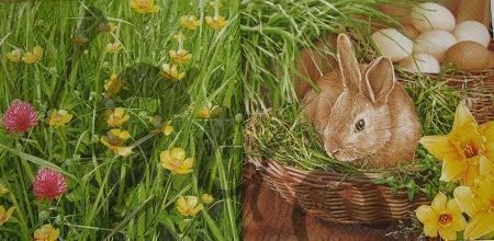Tovaglioli: Serviette hase (o120) 2Stk. – Nuovo (secondo la descrizione) da Schlatt TG venduto da kreativ-atelier