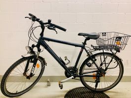 Crosswave Citybike Cruiser, Korb&Licht, Grösse 50.8, 26 Zoll