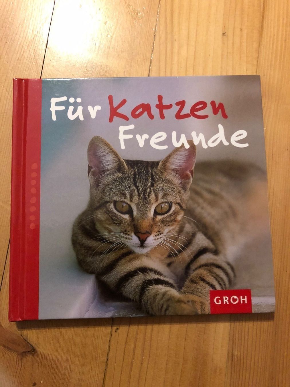 Libri: Für Katzenfreunde – Usato da Marly venduto da Maria987