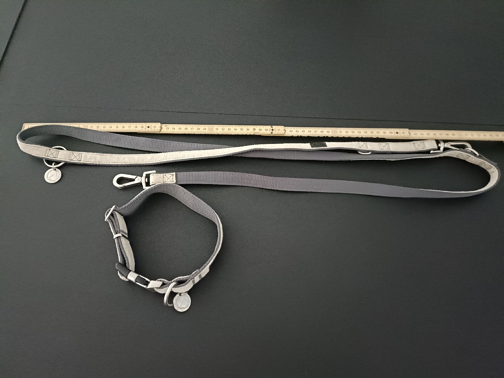 Guinzagli & Collari: Hundehalsband und Leine – Usato da Bergdietikon venduto da Bico01