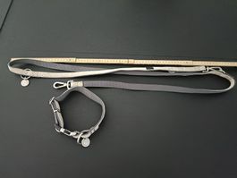 Hundehalsband und Leine