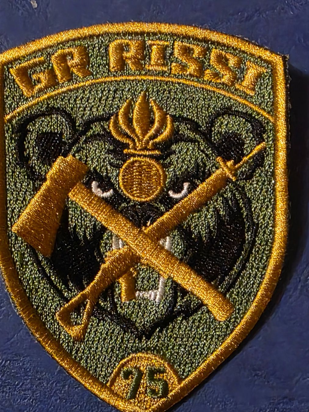 Schweizer Armee Placchette & Badge: Badge Section Spezial Badge Klett – Nuovo (secondo la descrizione) da Nyon venduto da freetoys08