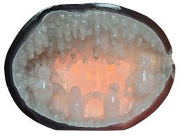 Scenica Geode in Agata con Pinguini Intagliati a Mano. 2,8kg