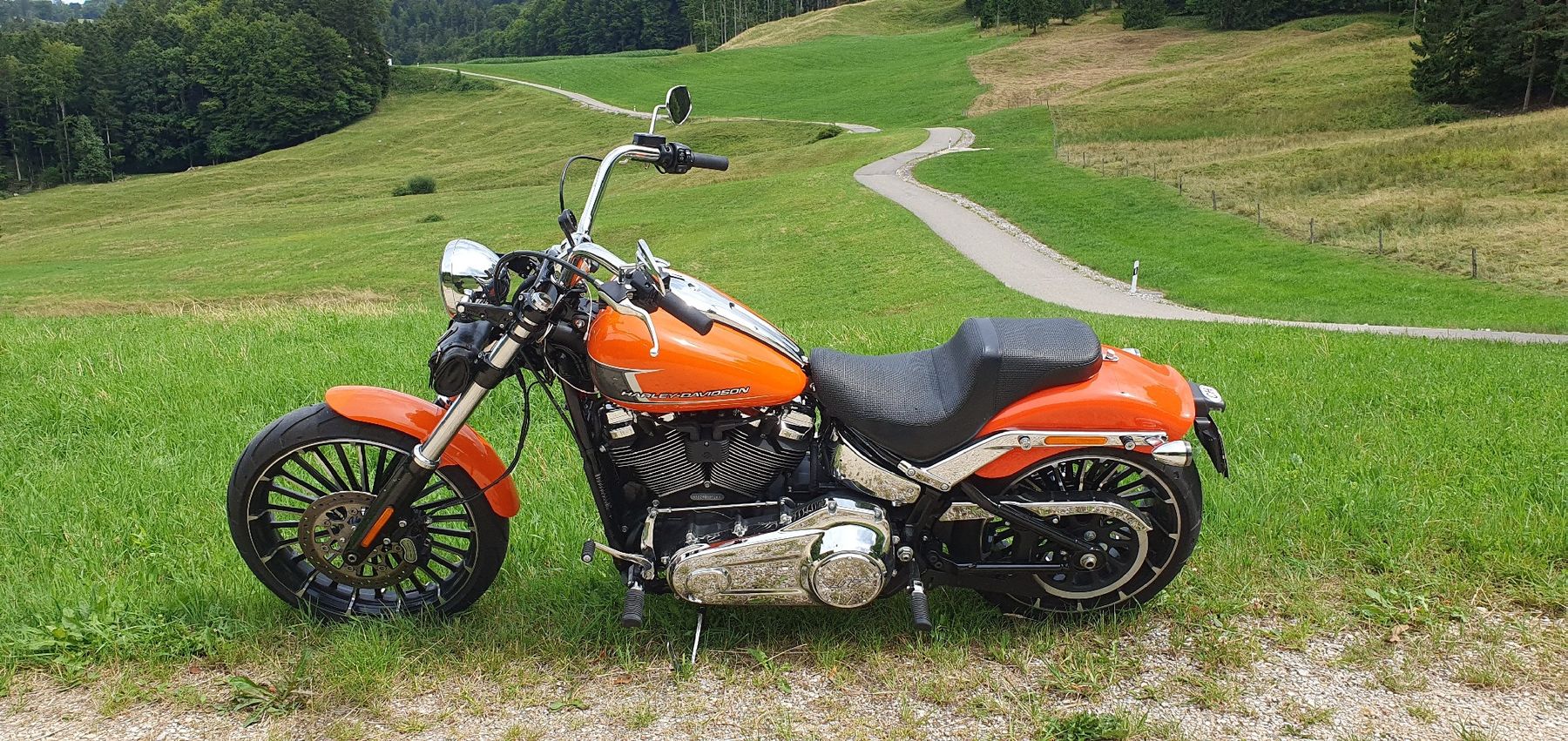 Harley-Davidson Chopper: Harley-Davidson Breakout 117 – Gebraucht aus Seewen SO von DealornoDeal 1