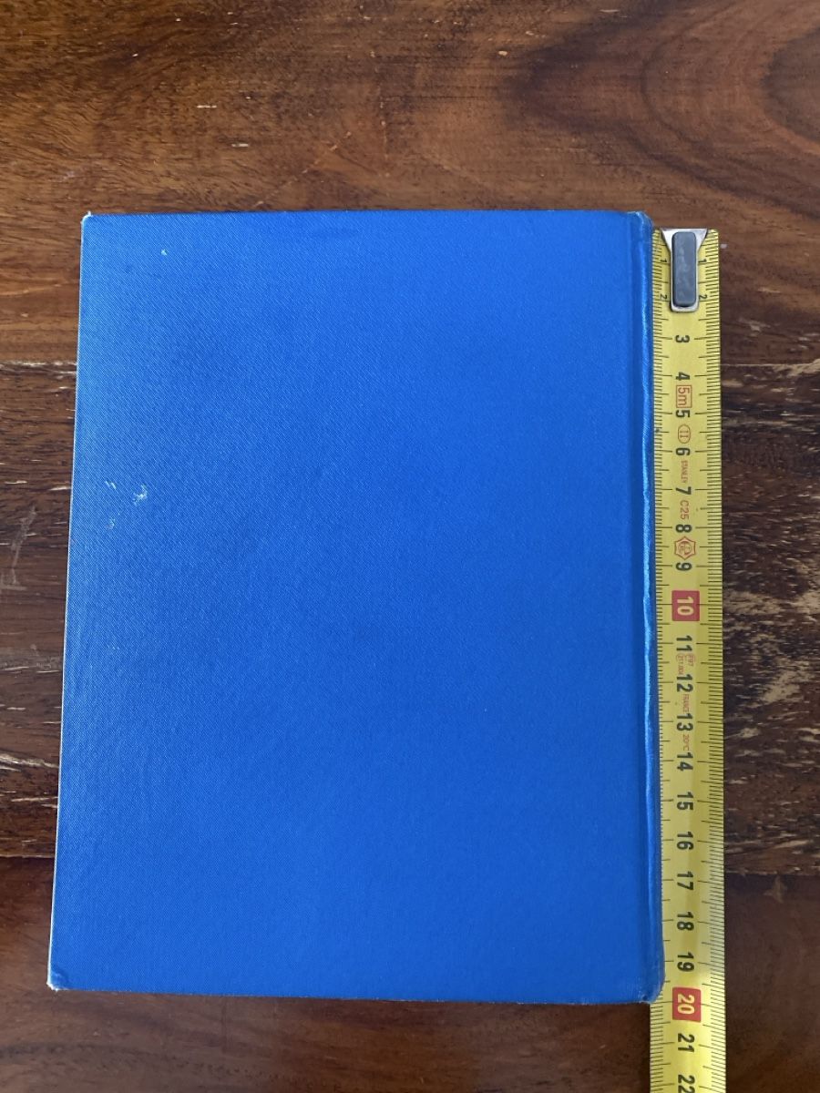 Libri: Antikes Kinderbuch "Das blaue Märchenbuch" 1919 – Usato da Berikon venduto da Samurai67ch 1