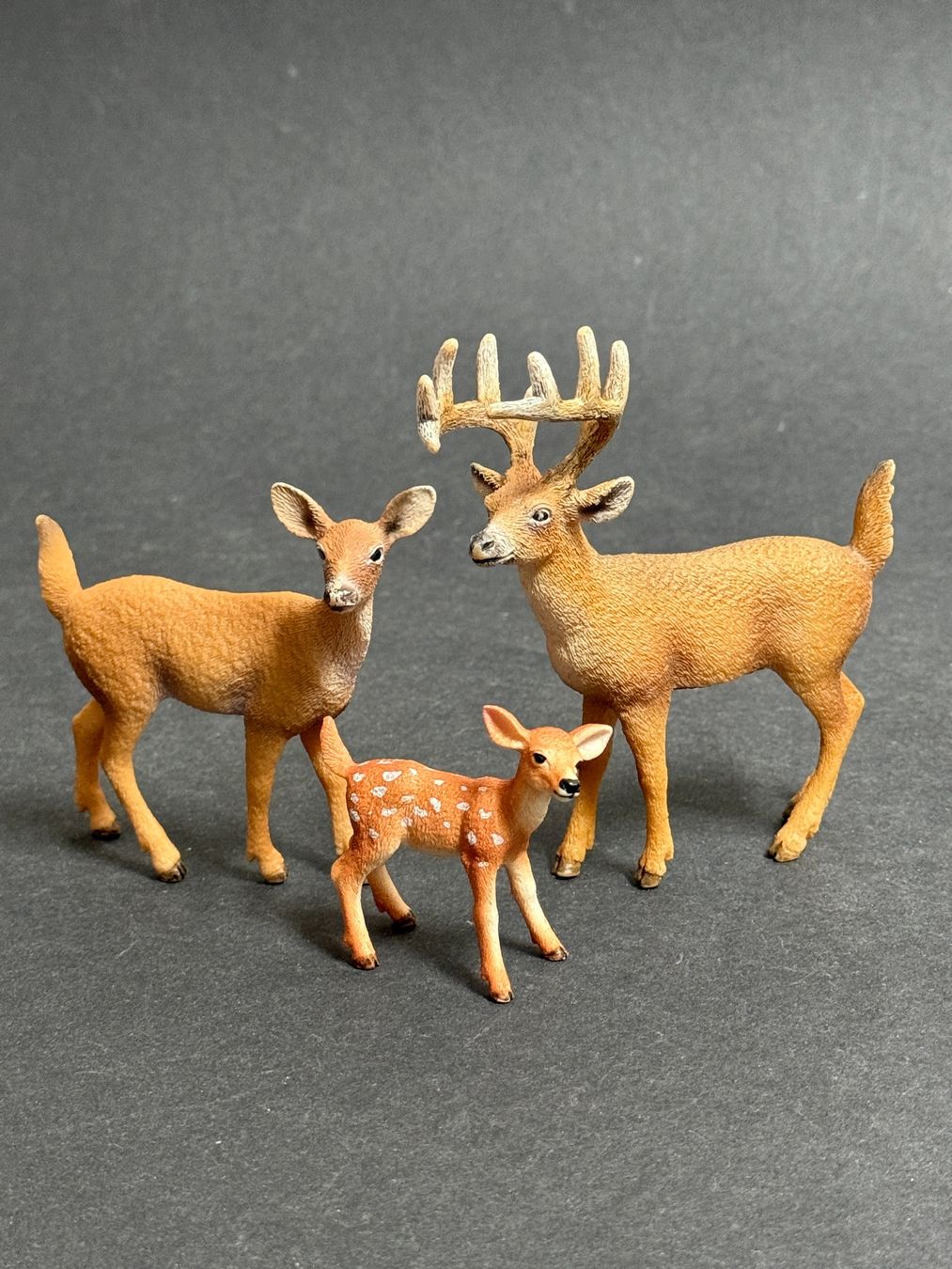 Schleich Statuette: Schleich Weisswedelhirsch Hirsch Kuh – Usato da Ennetbaden venduto da mapa05