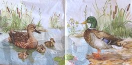 Serviette entenfamilie (t276) 2Stk.