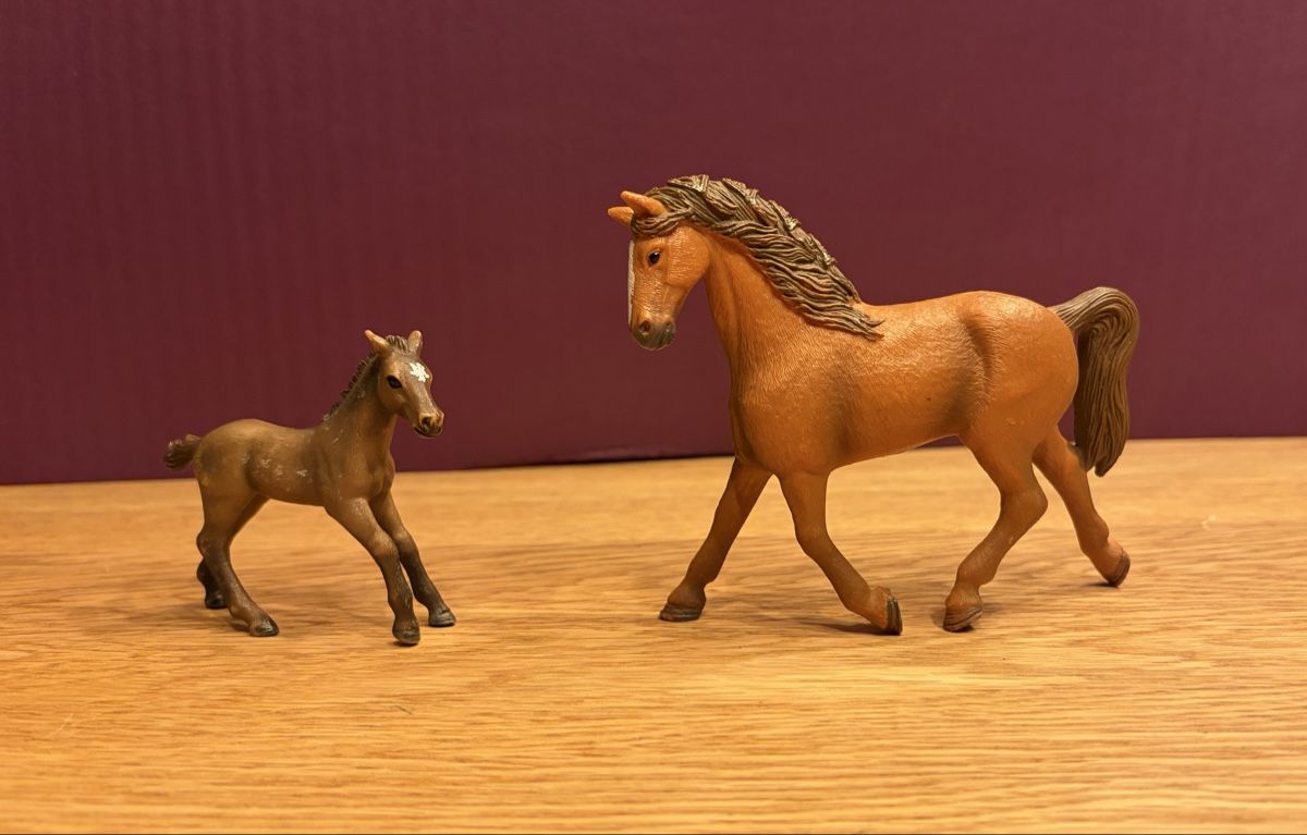 Schleich Spielzeuge: Schleich Pferde Set – Gebraucht aus Blumenstein von rumba9 2