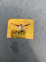 Panini 00