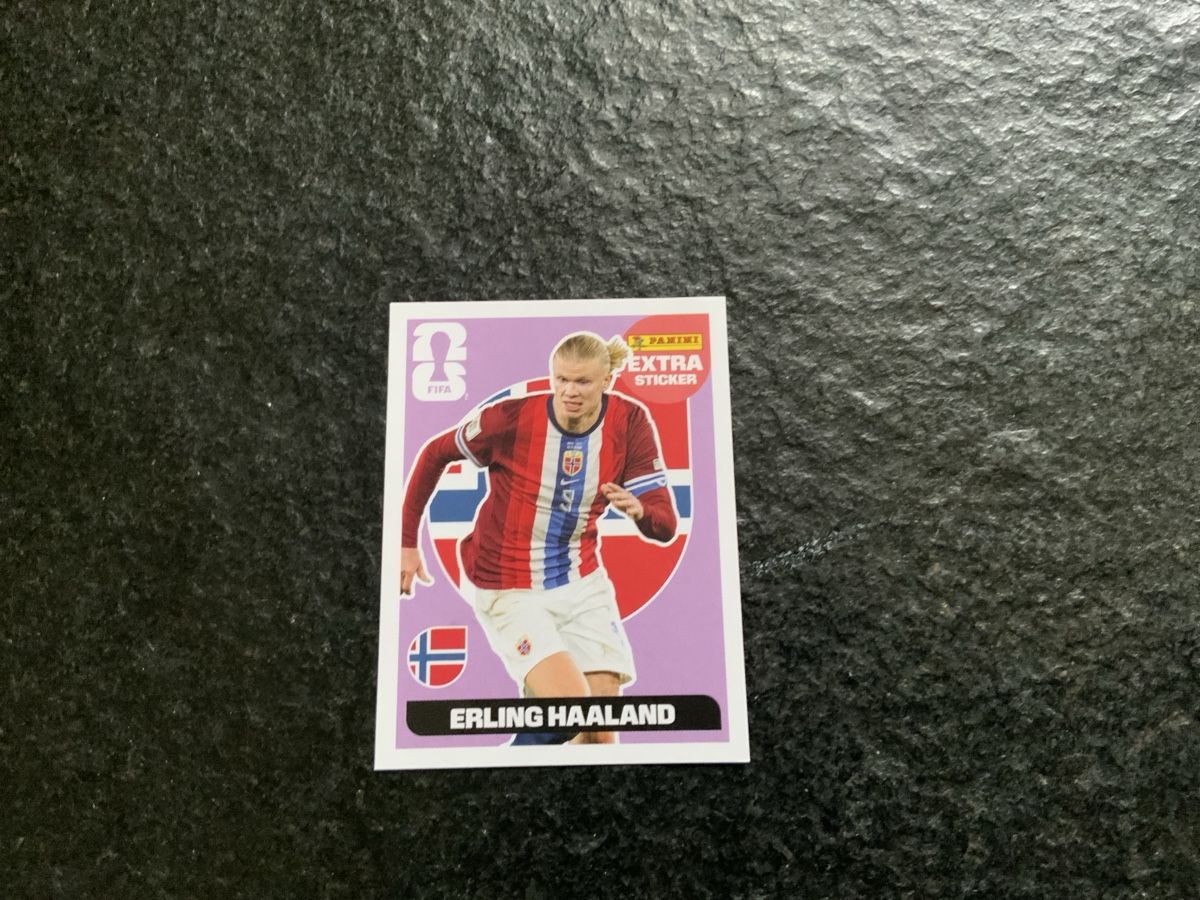 Panini Carte collezionabili: Panini Extra Sticker Erling Haaland – Usato da Widnau venduto da Como2006