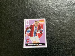 Panini Extra Sticker Erling Haaland