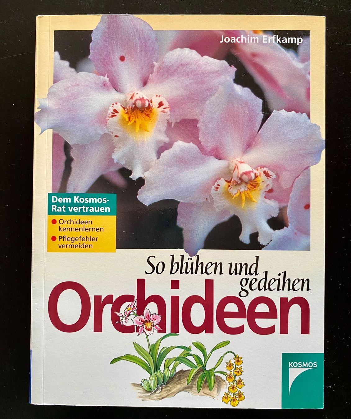 Libri: ORCHIDEEN / RATGEBER – Usato da Nussbaumen AG venduto da schuba2000