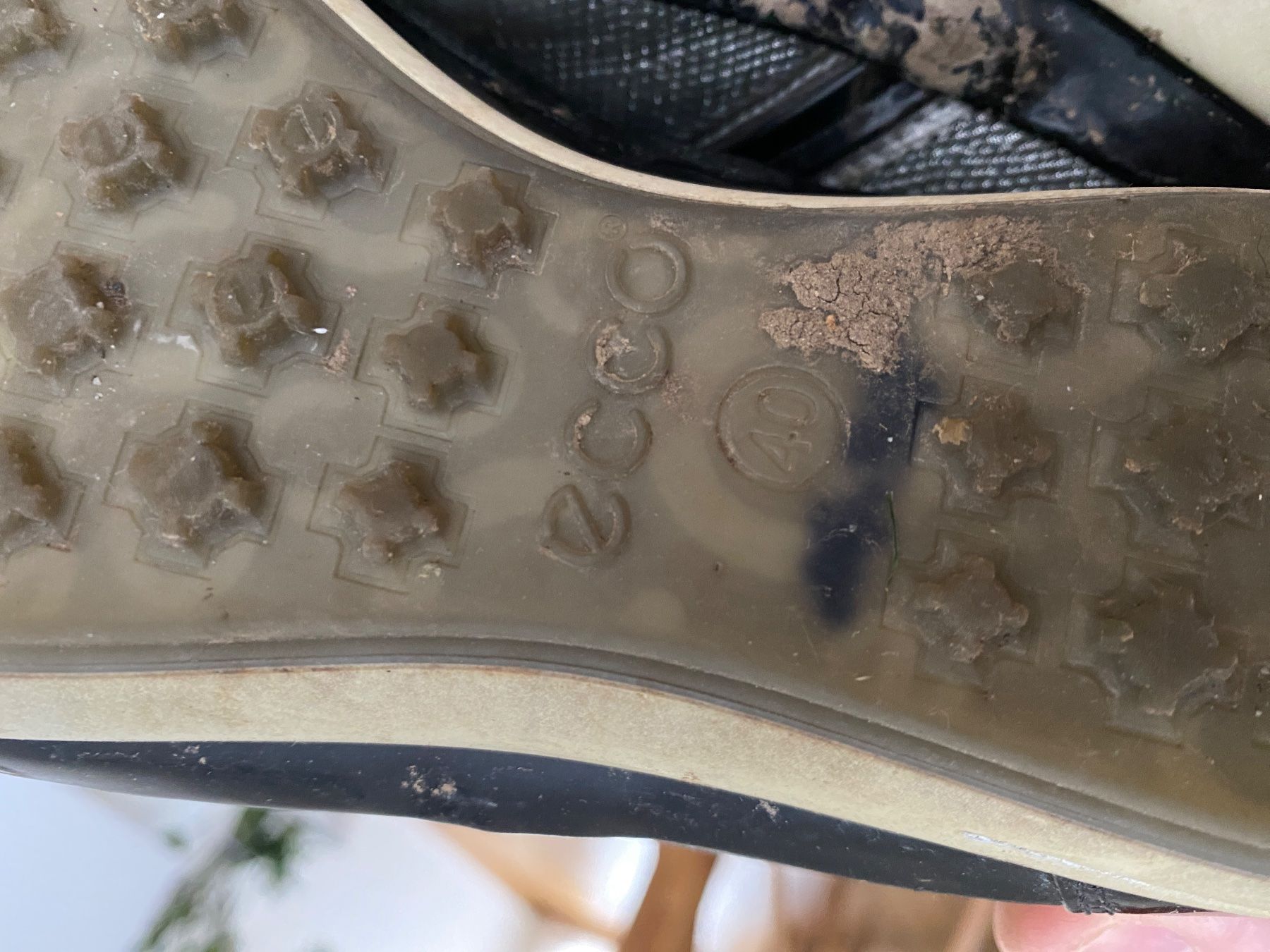 Ecco Damenschuhe: Schuhe ecco Leder – Gebraucht aus Kriens von saleworld 2