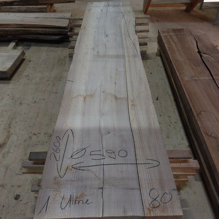 Articoli in legno: Ulme Brett 80mm – Nuovo (secondo la descrizione) da Waldkirch venduto da bauprofi87