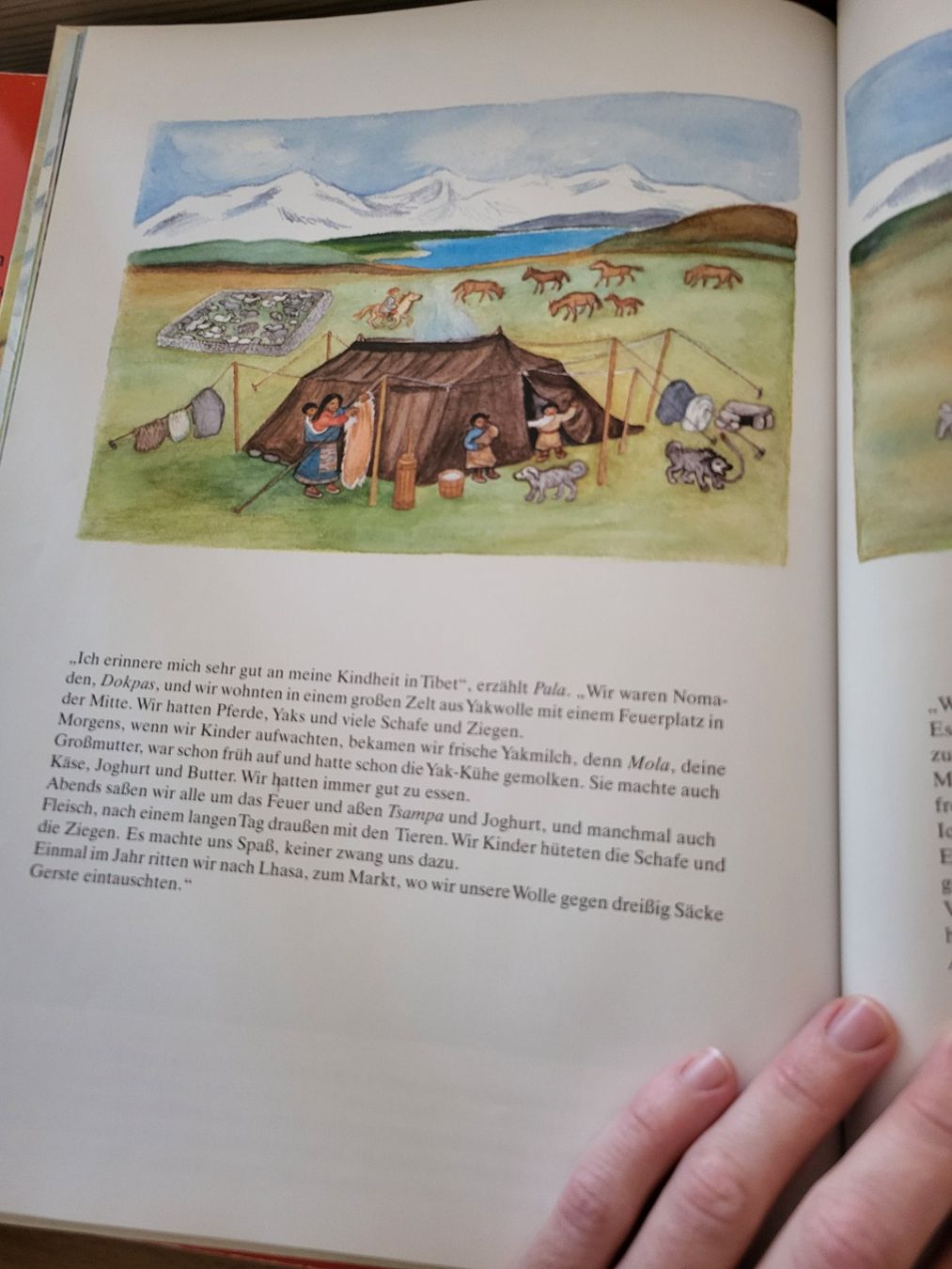 Libri: Kinder aus Tibet - Bodil Hagbrink – Usato da Uzwil venduto da mad_r6mv 2