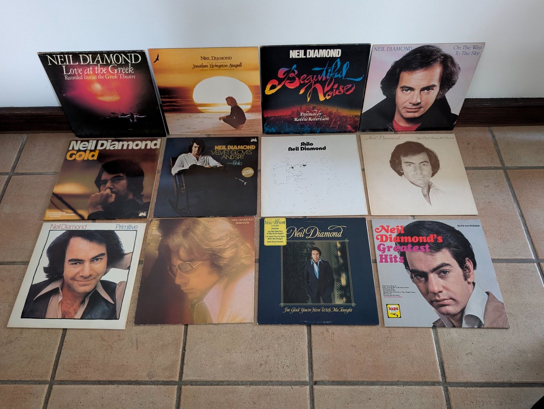 Dischi in vinile: 12 x Neil Diamond – Usato da Ebikon venduto da kisuM