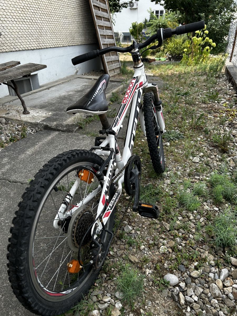 Velos: MTB – Gebraucht aus Niederönz von reg_kbj2 3