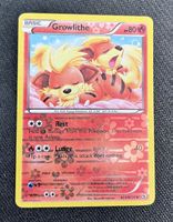 ✨Pokémon Growlithe RC4/RC25 Radiant Collection 2013✨