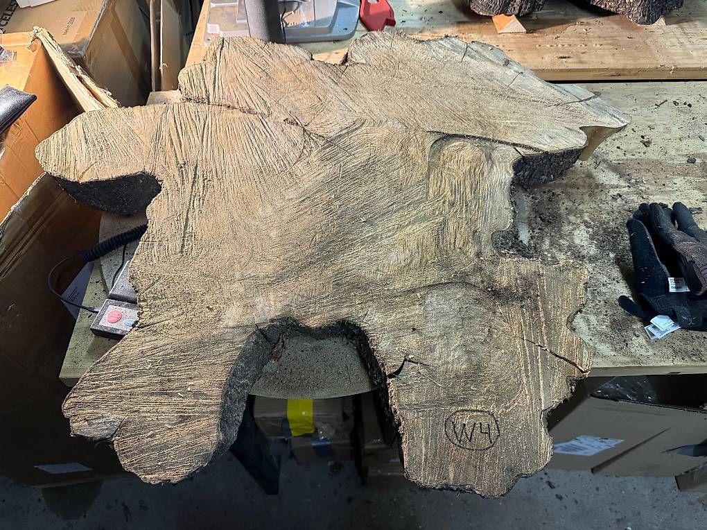 Articoli in legno: Olivenholz Wurzelscheibe W4 – Usato da Buus venduto da macipioji