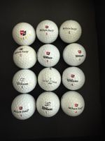 12 Wilson Staff Lakeballs AAA, diverse gemischt, gereinigt