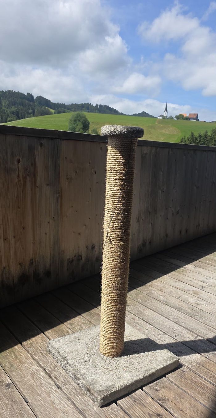 Katzenbaum - Kratzbaum: Kratzbaum AniOne – Gebraucht aus Schachen b. Reute von Judyniki