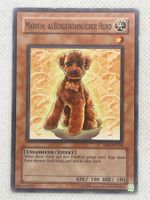 Yu-Gi-Oh! Marron, aussergewöhnlicher Hund DR1-DE224 Deutsch